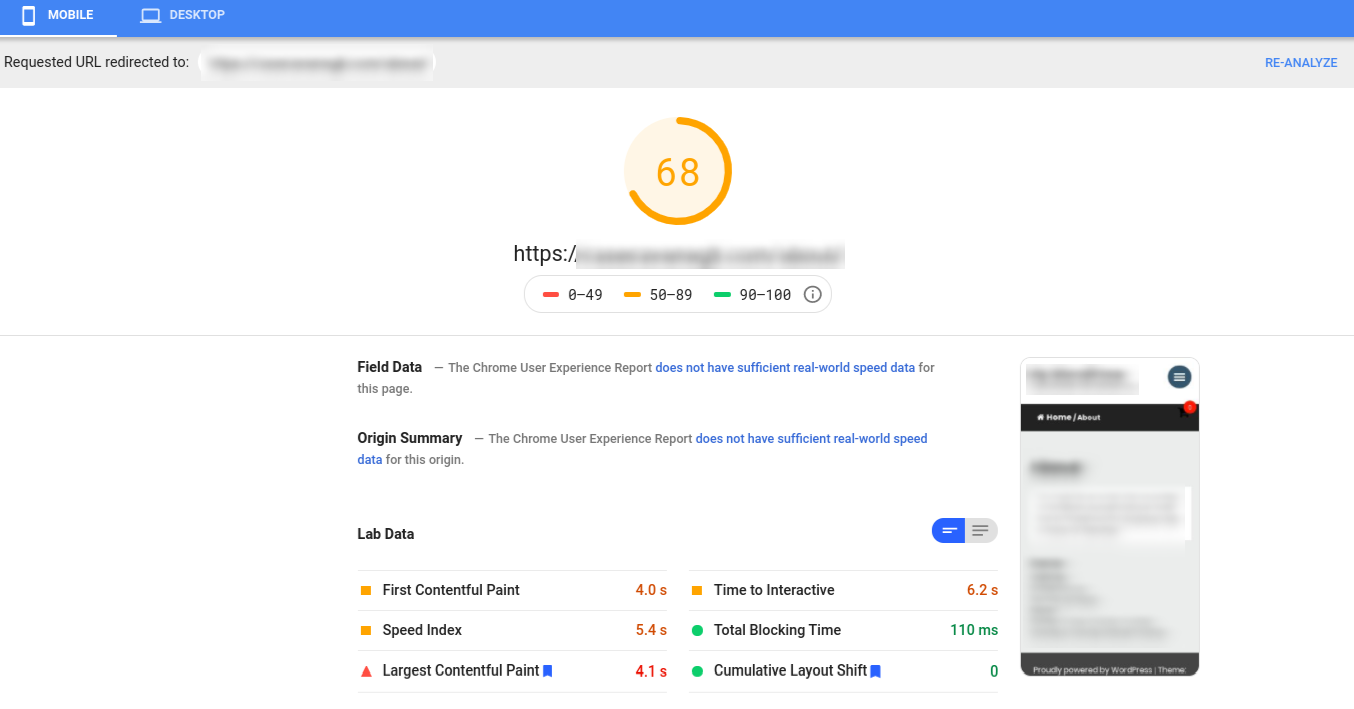 Google PageSpeed Score